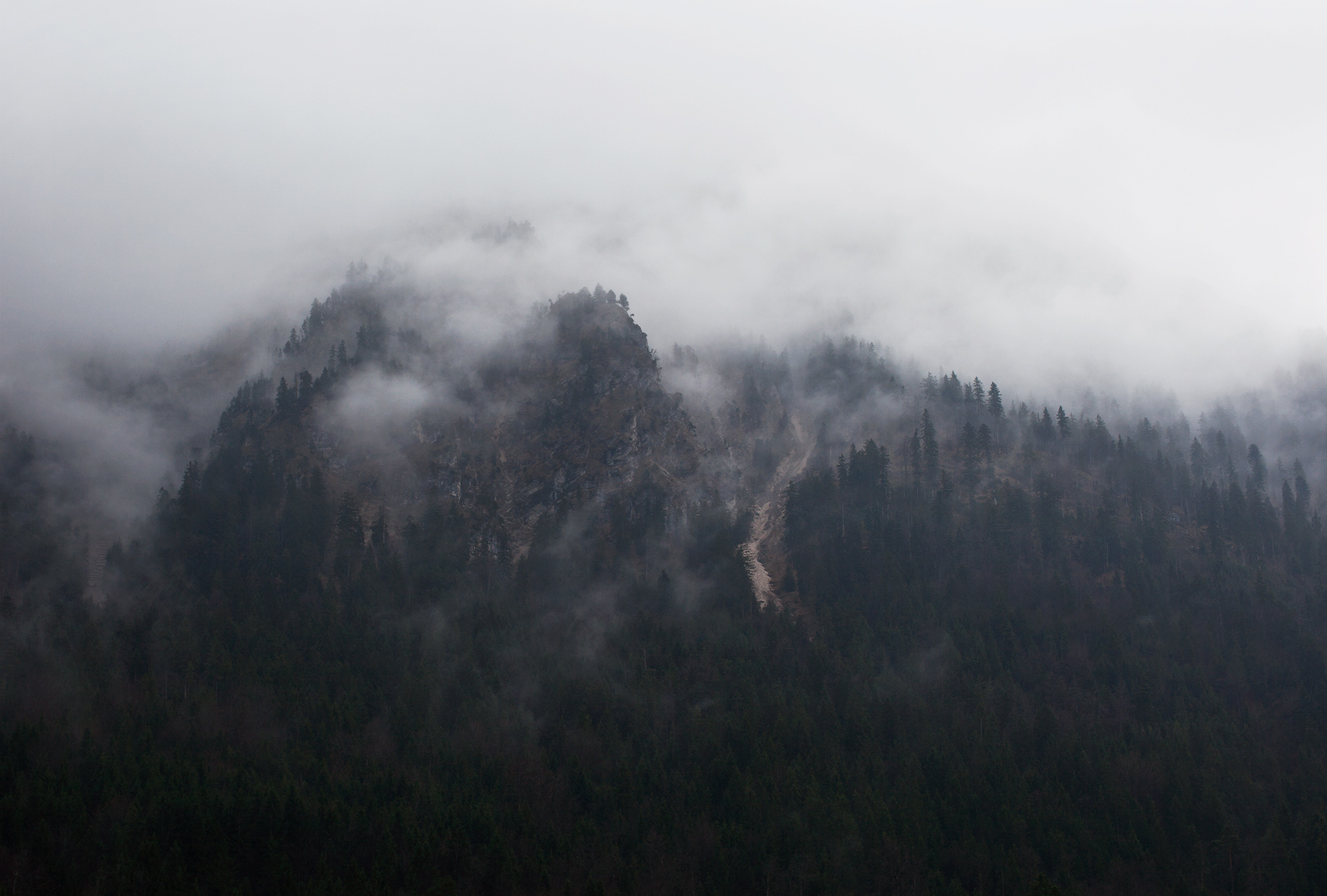 neuschwanstein_fog_02_0499